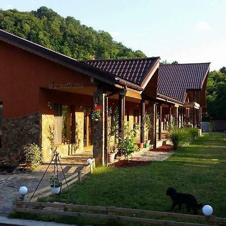 Pensiunea Raiul Muntilor Sebiş Extérieur photo