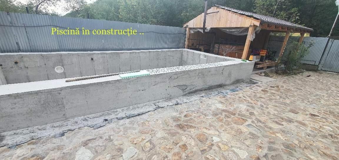 Pensiunea Raiul Muntilor Sebiş Extérieur photo