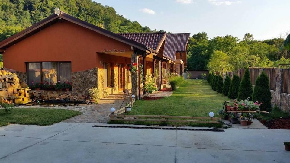 Pensiunea Raiul Muntilor Sebiş Extérieur photo