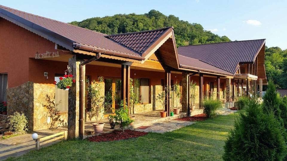 Pensiunea Raiul Muntilor Sebiş Extérieur photo