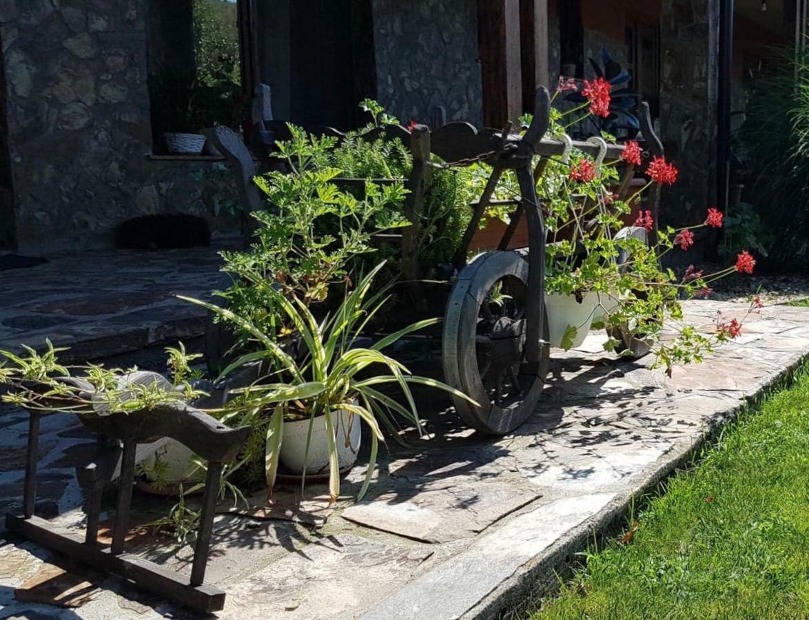 Pensiunea Raiul Muntilor Sebiş Extérieur photo